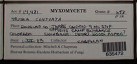 Image Associated With the Occurence